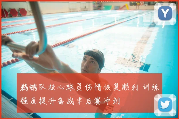 鹈鹕队核心球员伤情恢复顺利 训练强度提升备战季后赛冲刺