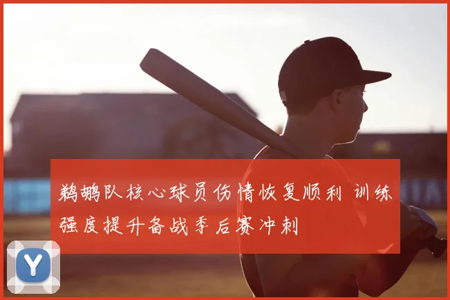 鹈鹕队核心球员伤情恢复顺利 训练强度提升备战季后赛冲刺