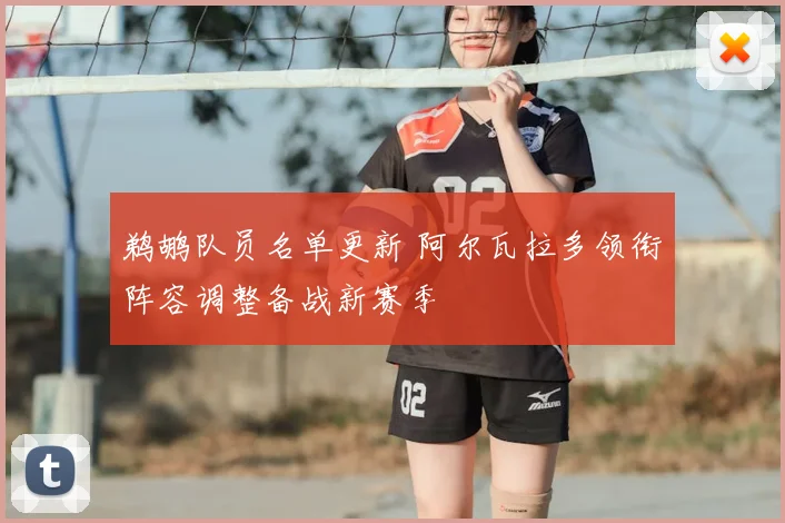 鹈鹕队员名单更新 阿尔瓦拉多领衔阵容调整备战新赛季