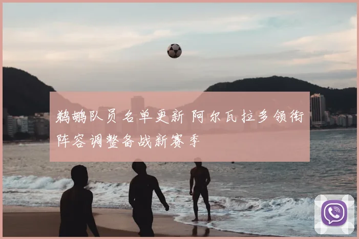 鹈鹕队员名单更新 阿尔瓦拉多领衔阵容调整备战新赛季