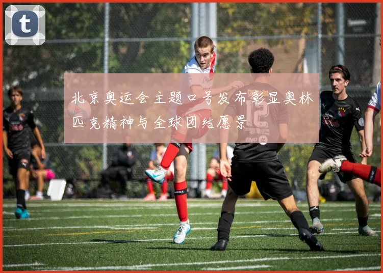 北京奥运会主题口号发布彰显奥林匹克精神与全球团结愿景